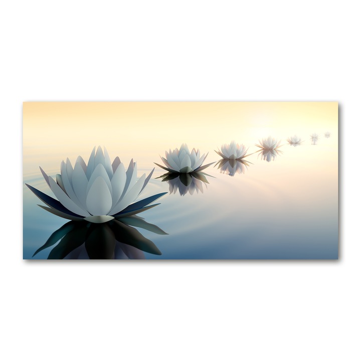 Tablou pe sticla, 100x50cm, Imagine imprimata sticla, Decorarea peretilor "Flori de lotus”