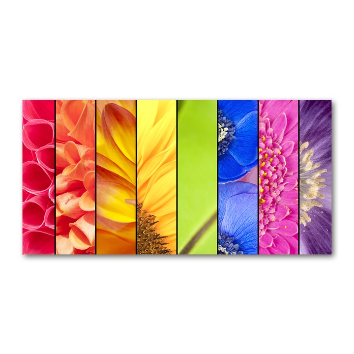 Pictura pe panza, 100x 50cm, Decorarea peretilor "Flori colorate”