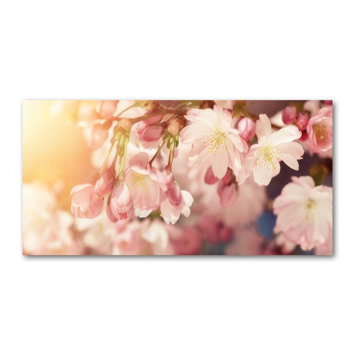 Pictura pe panza, Tulup, 100 cm x 50 cm, Decorarea peretilor, flori de cires, 81037561