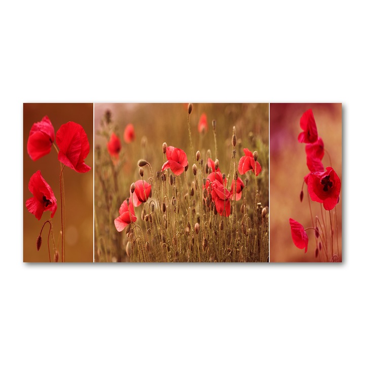 Pictura acrilica. 100x50cm. grafica pe perete. decoratiuni de perete "Tripticul Maki”