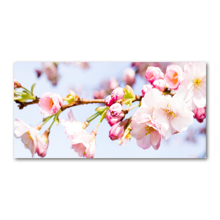Panou de bucatarie, din sticla, Placi decorative, flori de cires, 100x50 cm