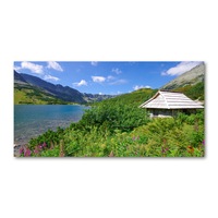 pictura pe panza 120x 60cm decorarea peretilor quotcabana in tatra imagen 38_0_
0