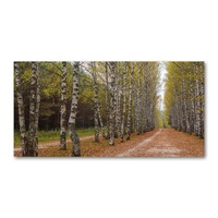 tablou pe sticla 140x70cm imagine imprimata sticla decorarea peretilor quotbulevardul de mesteacan imagen 2_0_
0