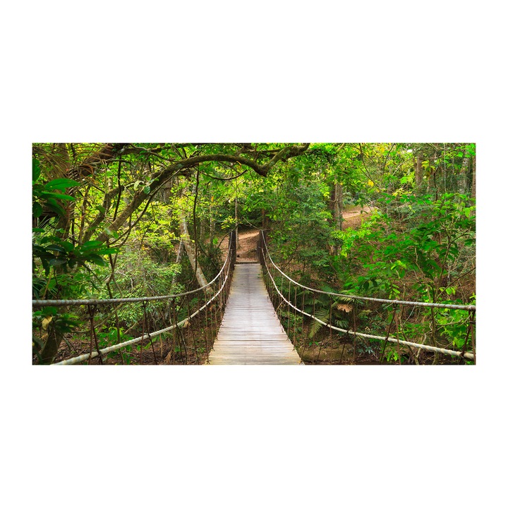 Panou de bucatarie. Tulup. 100x50 cm. "Pod de franghie”