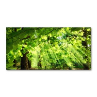 pictura pe panza 140 x 70cm decorarea peretilor quotfrunze de fag imagen 20_0_
0