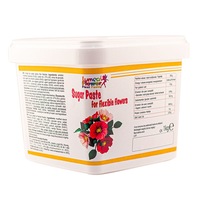 Pasta de zahar pentru flori flexibile, 1kg - Lumea Flower Flexipaste