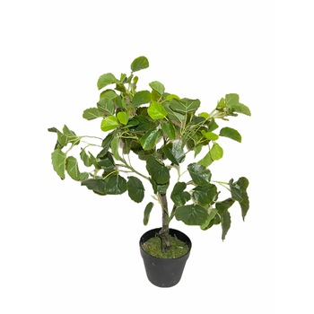 Planta artificiala decorativa in ghiveci, Atelier, 55cm, Verde Planta artificiala decorativa in ghiveci, Atelier, 55cm, Verde