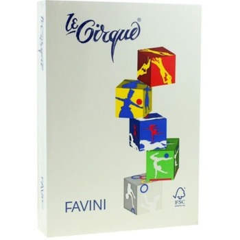 Hartie Cartonata A4 FAVINI, Alba, 250 Coli/Top, 160 g/m² Hartie Cartonata A4 FAVINI, Alba, 250 Coli/Top, 160 g/m²