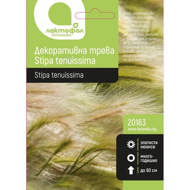Семена Лактофол Ботаника за декоративна трева Stipa tenuissima, 1 g