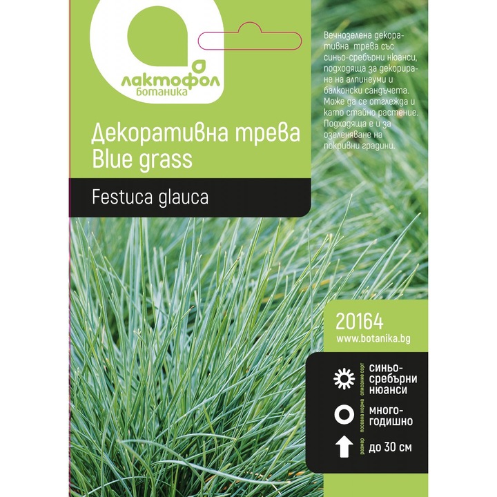 Семена Лактофол Ботаника за декоративна трева Blue grass, 1 g