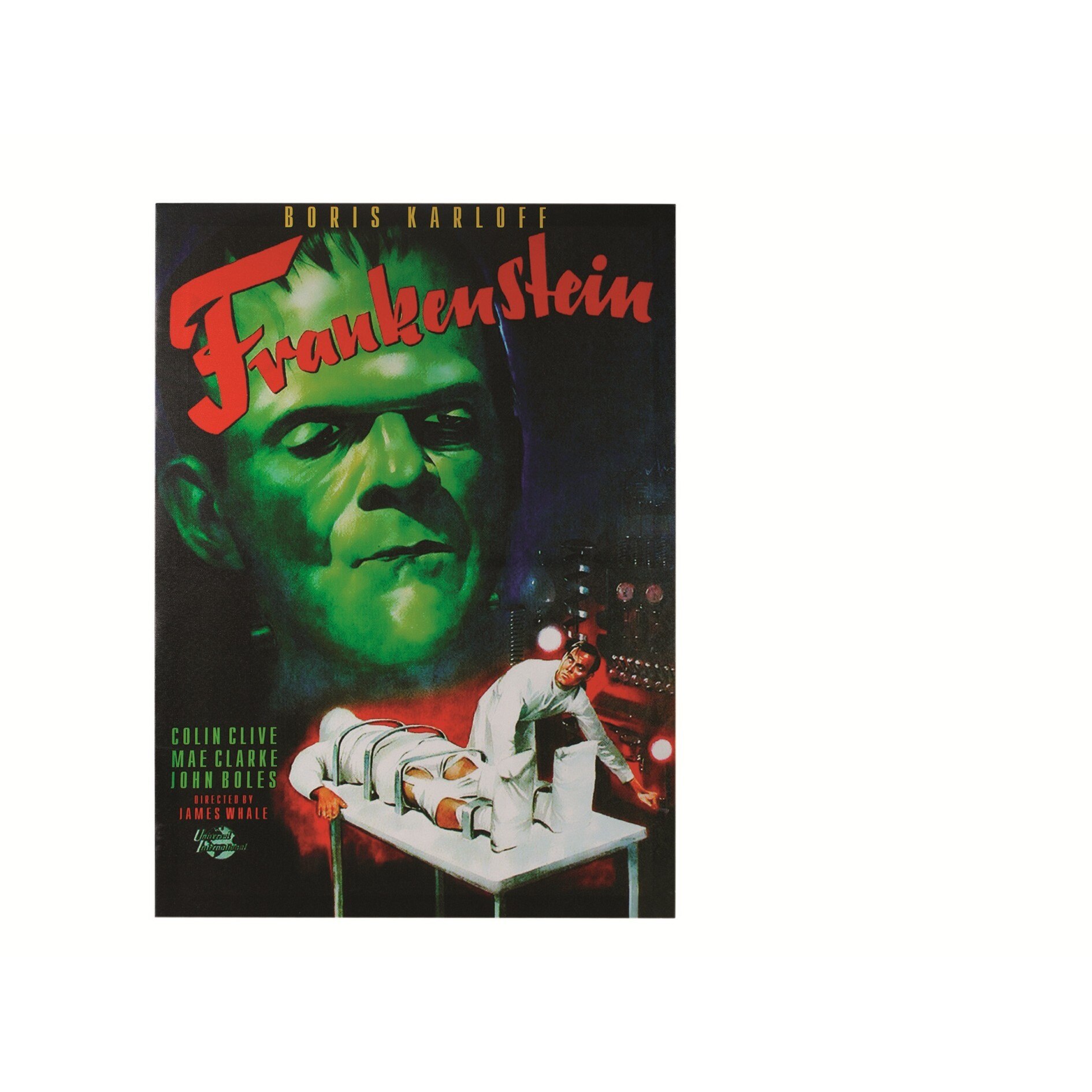 Canvas print, Frankenstein, rama de lemn,50 x 70 cm