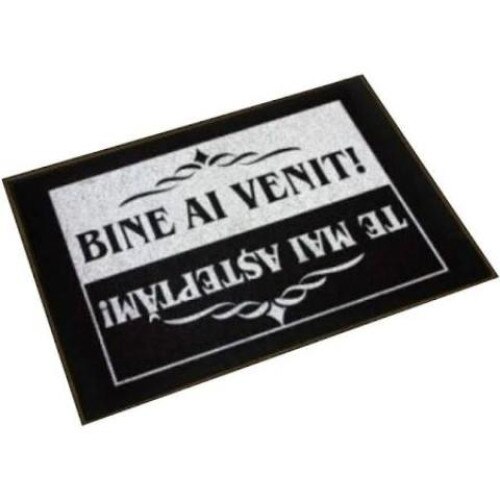 Covoras de intrare, bine ai venit, 40x60 cm