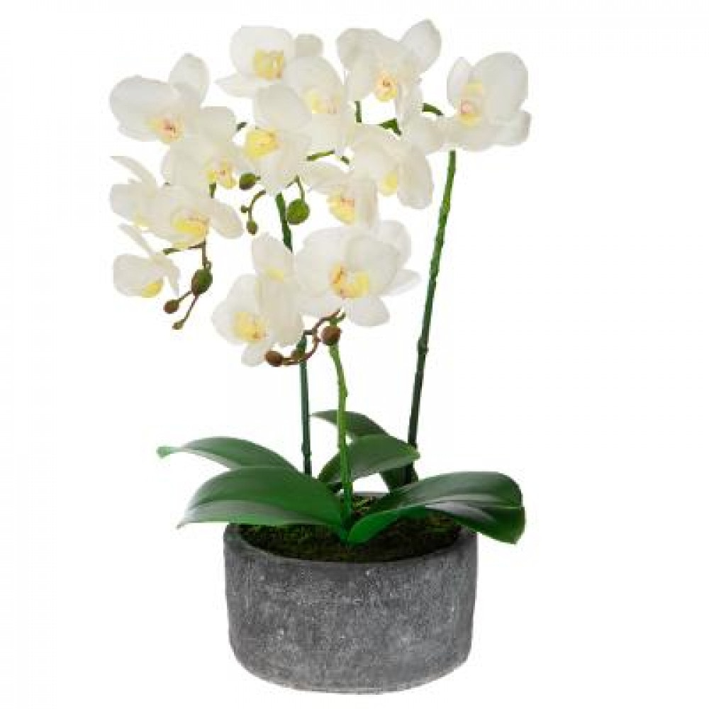 Orhidee artificiala 40 cm, ghiveci de beton