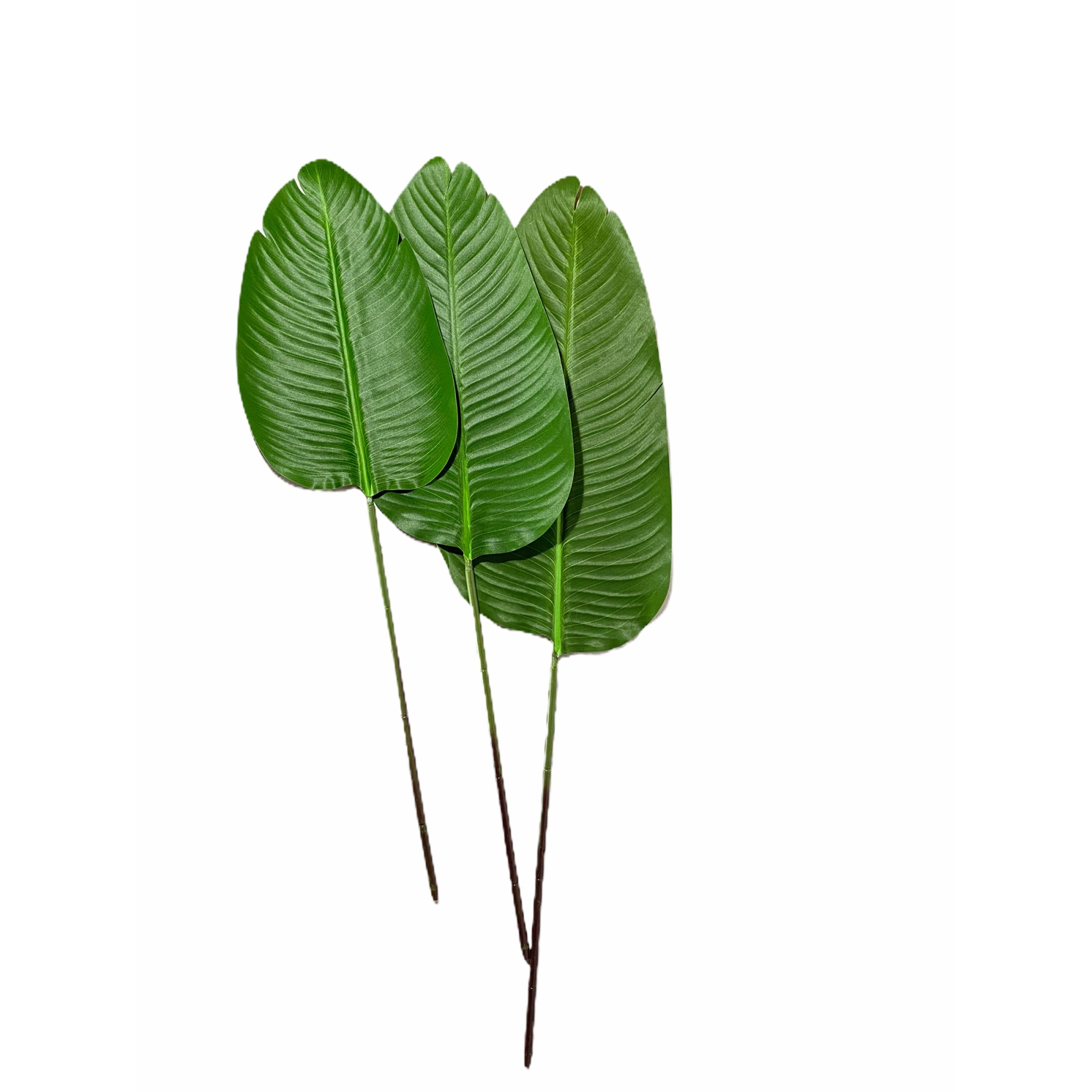 Set 3 frunze decorative artificiale, Atelier, Verde Deschis, 80-88-98cm