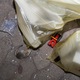 Capcana soareci, Gardigo, material ecologic