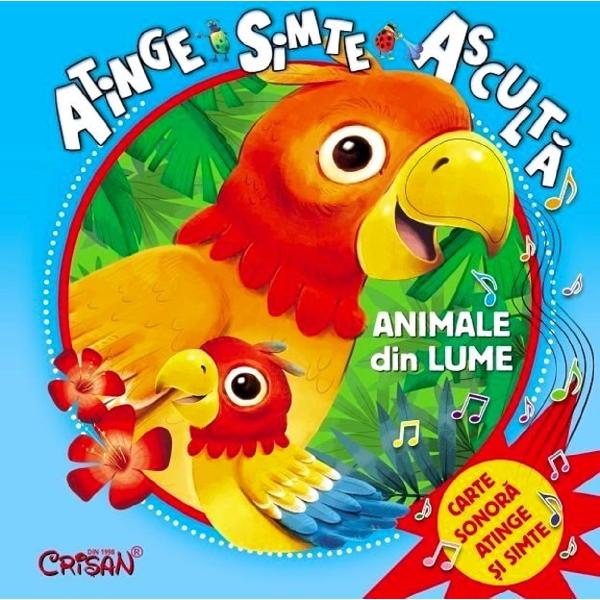 Animale din lume: atinge, simte, asculta