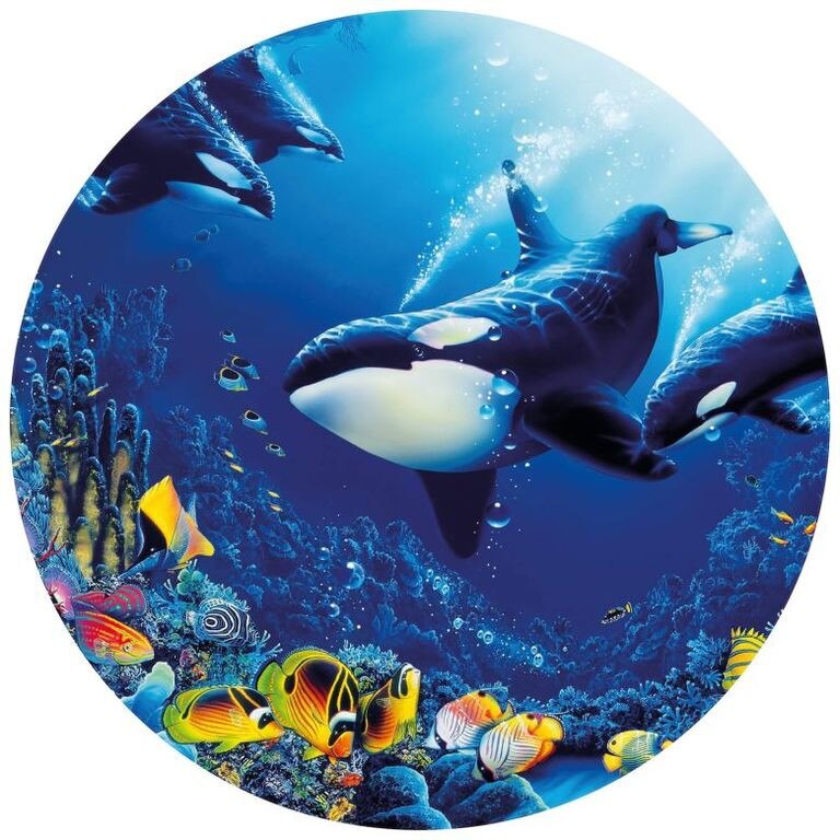 Fototapet rotumd animale Wizard Genius NW8953 dimensiune 140cm x 140cm albastru