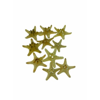 Set Atelier 10 stelute de mare naturale, Piatra Set Atelier 10 stelute de mare naturale, Piatra