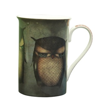 Cana inalta Owl -Grumpy Owl Cana inalta Owl -Grumpy Owl