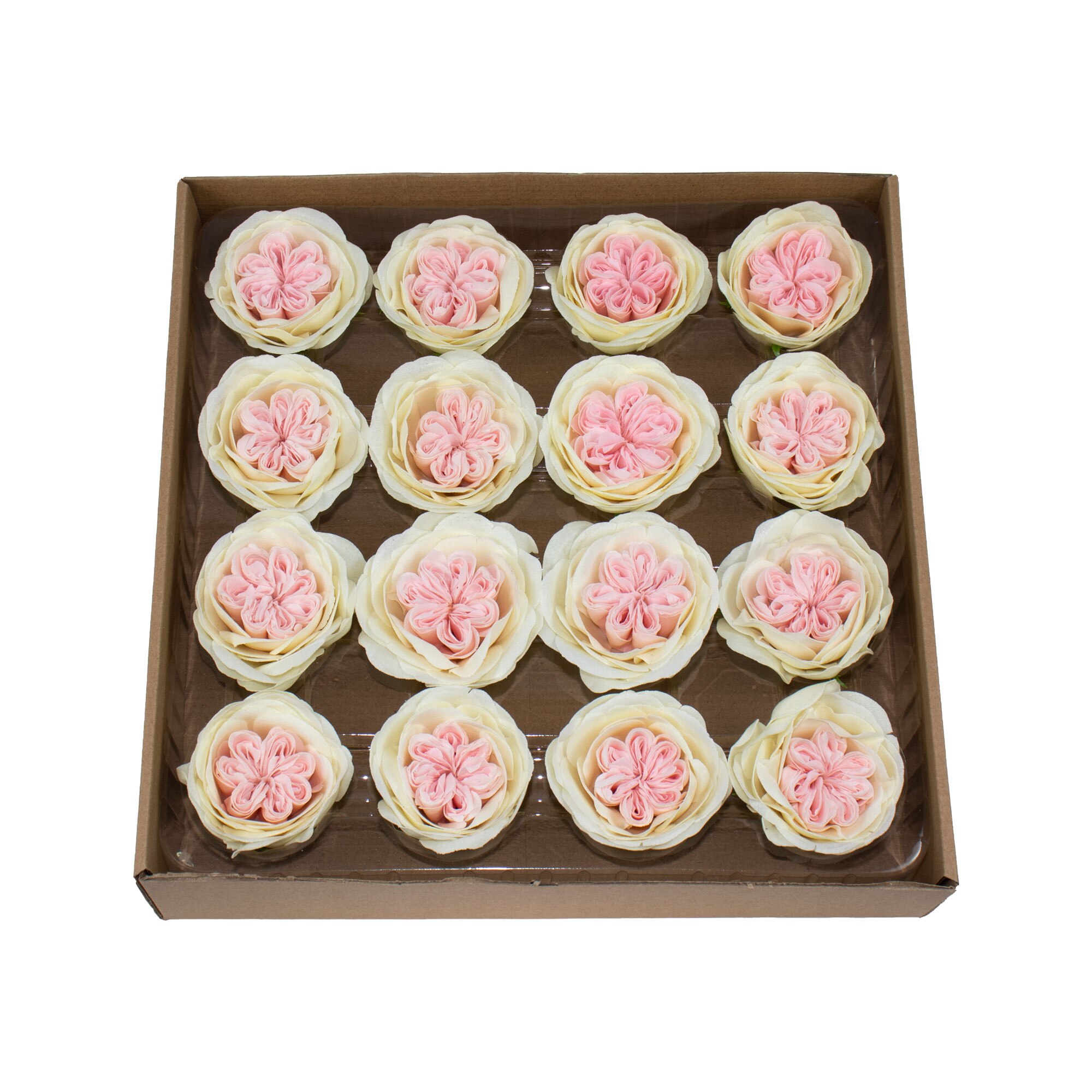 Trandafiri de gradina din sapun, 16Buc/ Set, CD4078-Crem-Roz