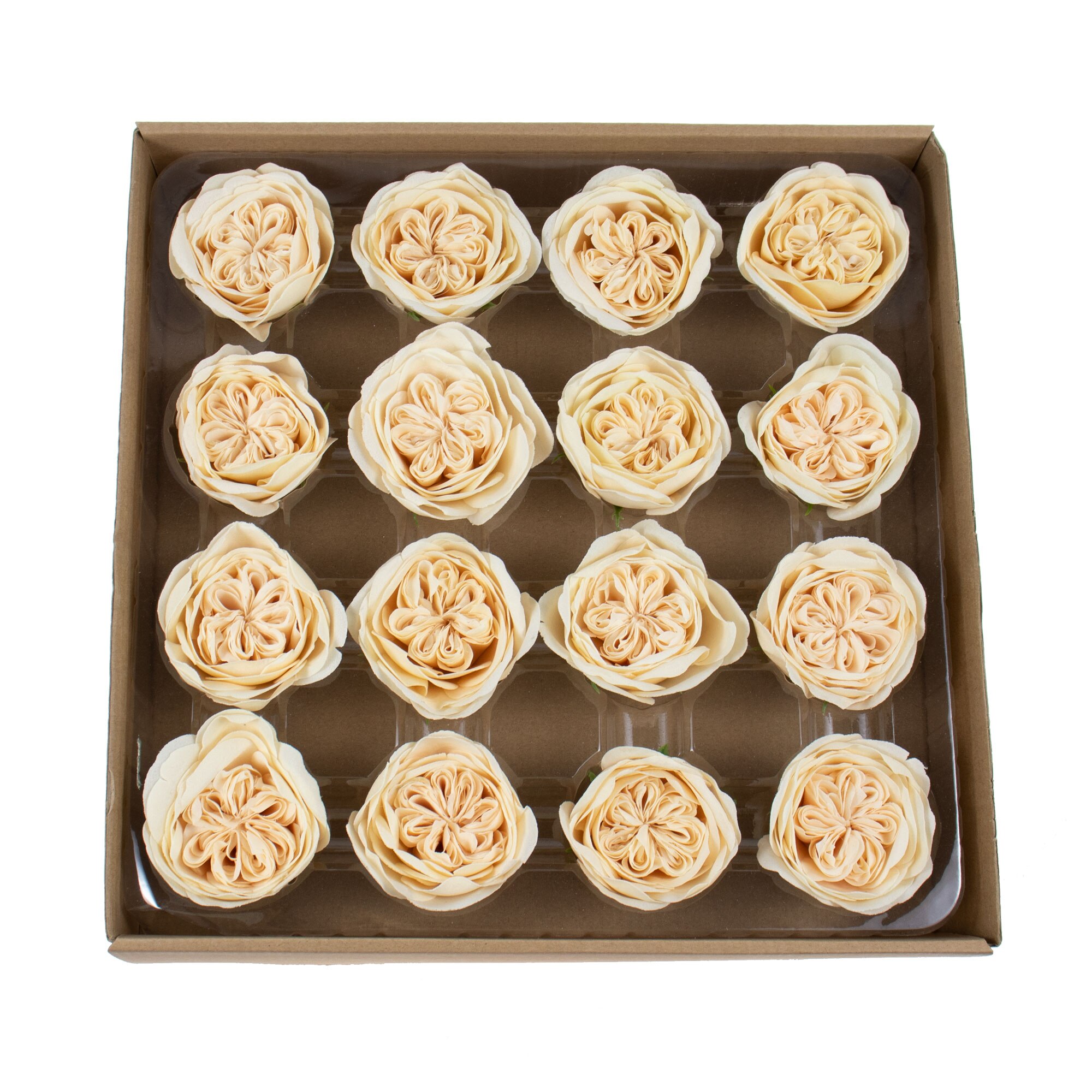 Trandafiri de gradina din sapun, 16Buc/ Set, CD4078-Piersica