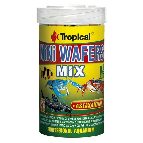 tropical wafers