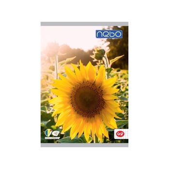 Caiet pentru scoala, BNW, model , A4 , liniatura matematica , floarea soarelui, 48 de file Caiet pentru scoala, BNW, model , A4 , liniatura matematica , floarea soarelui, 48 de file