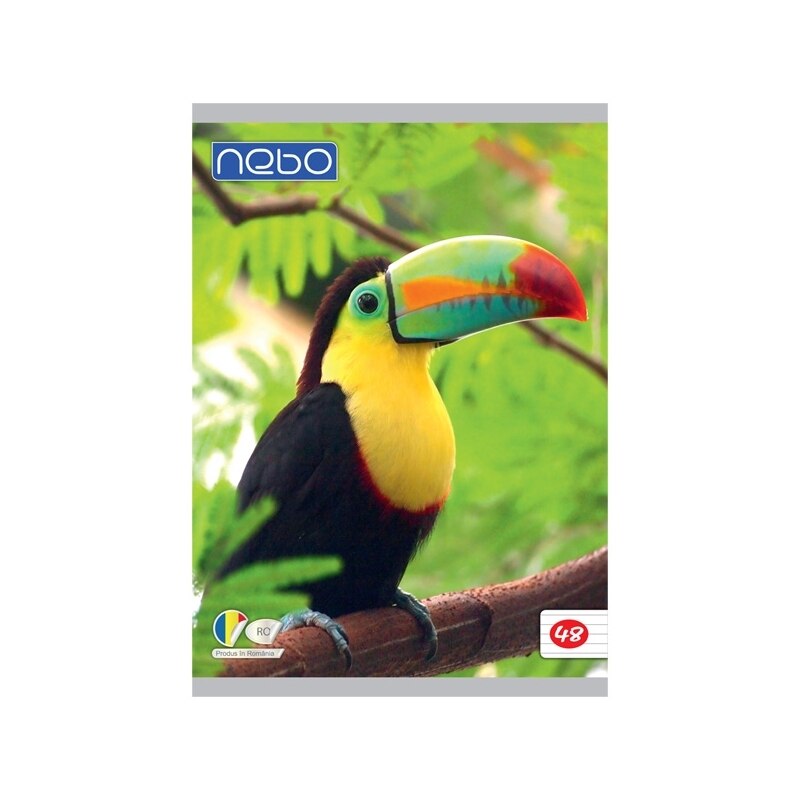 Caiet pentru scoala, BNW, A 4 48 de file