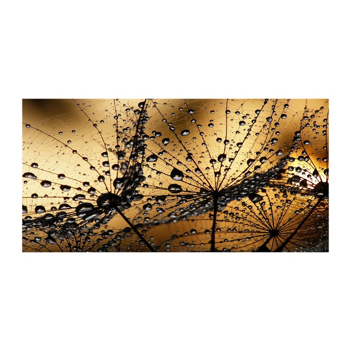 Pictura pe panza, Dimensiune: 140 cm x 70 cm, Decorarea peretilor - Seminte de papadie