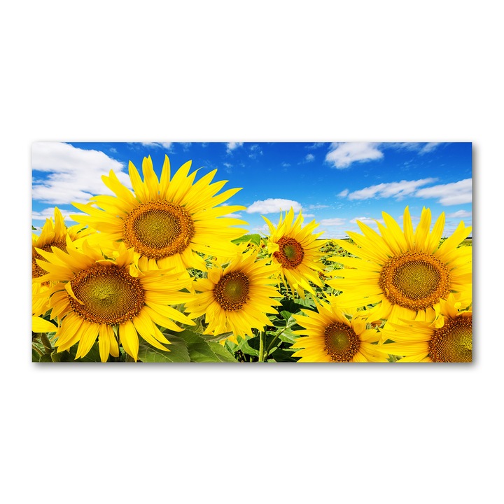 Pictura pe panza, 100 cm x 50, Decorarea peretilor, Floarea soarelui