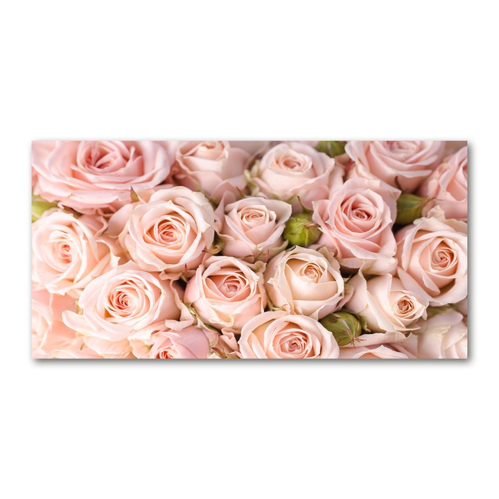 Panou de bucatarie, din sticla, Placi decorative din sticla, Trandafiri, 100x50 cm