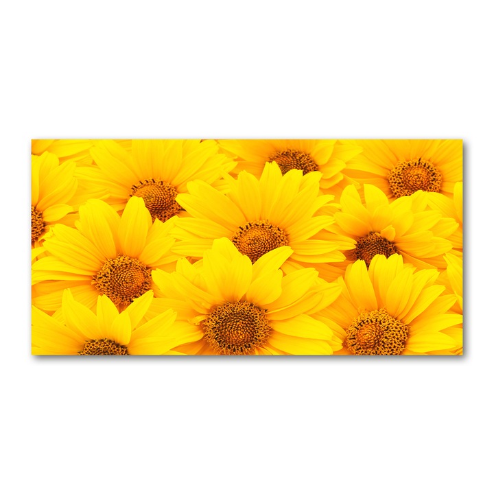 Pictura pe panza, Tulup, 100 cm x 50 cm, Decorarea peretilor, Floarea soarelui, 67862998