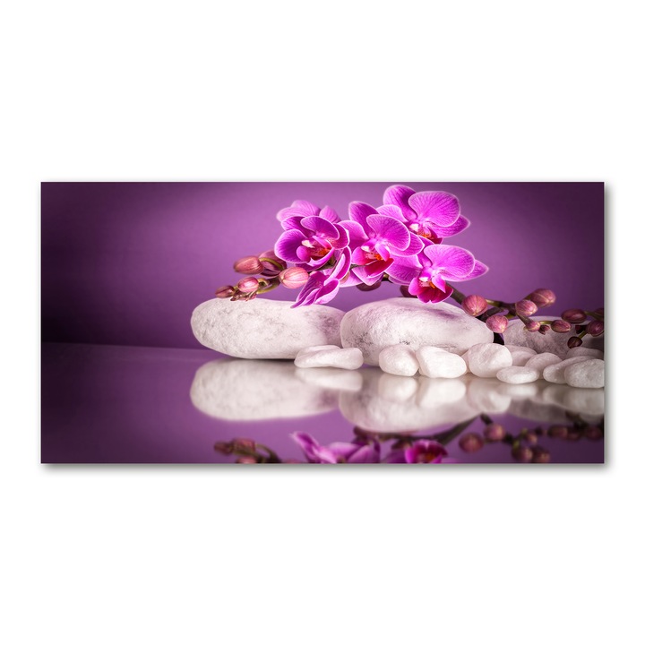 Pictura pe panza, Tulup, 100 cm x 50 cm, Decorarea peretilor, Orhidee roz, 82457632
