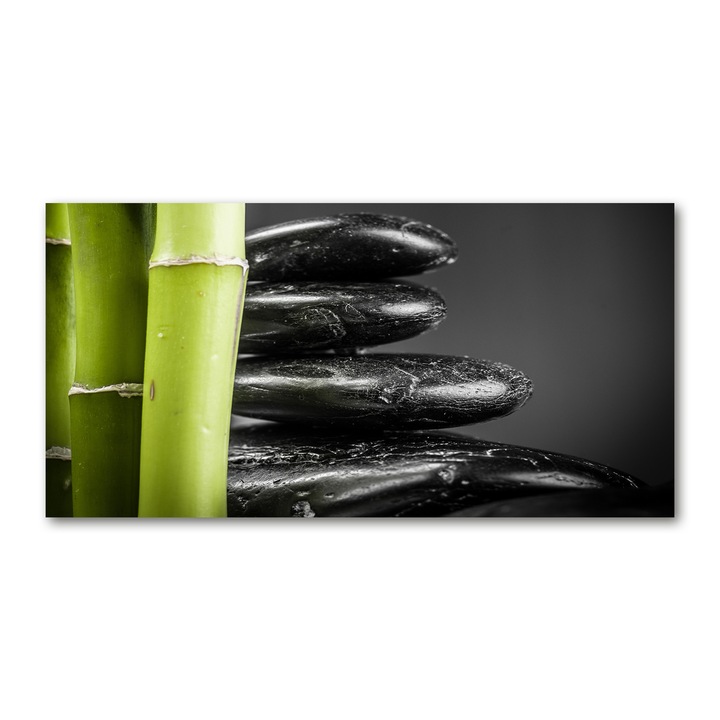 Pictura pe panza, Tulup, 100 cm x 50 cm, Decorarea peretilor, Bambus, 83111645
