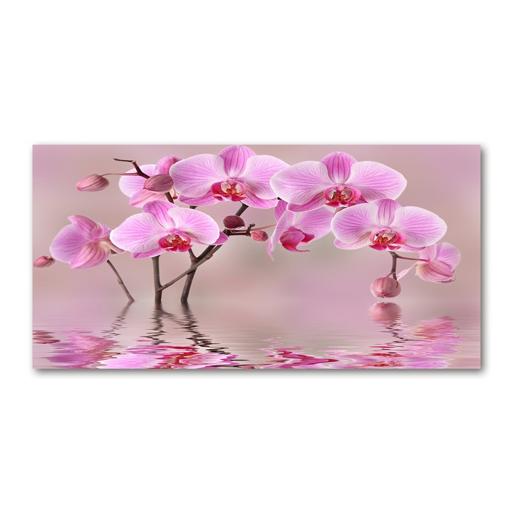 Pictura pe panza, Tulup, 100 cm x 50 cm, Decorarea peretilor, Orhidee roz, 79883275