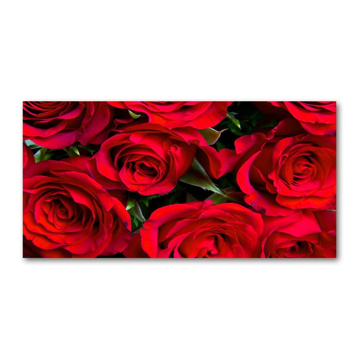 Pictura pe panza, Tulup, 100 cm x 50 cm, Decorarea peretilor, trandafiri rosii, 76865971
