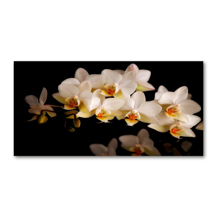 Panou de bucatarie, din sticla, Placi decorative din sticla, Orhidee, 100x50 cm