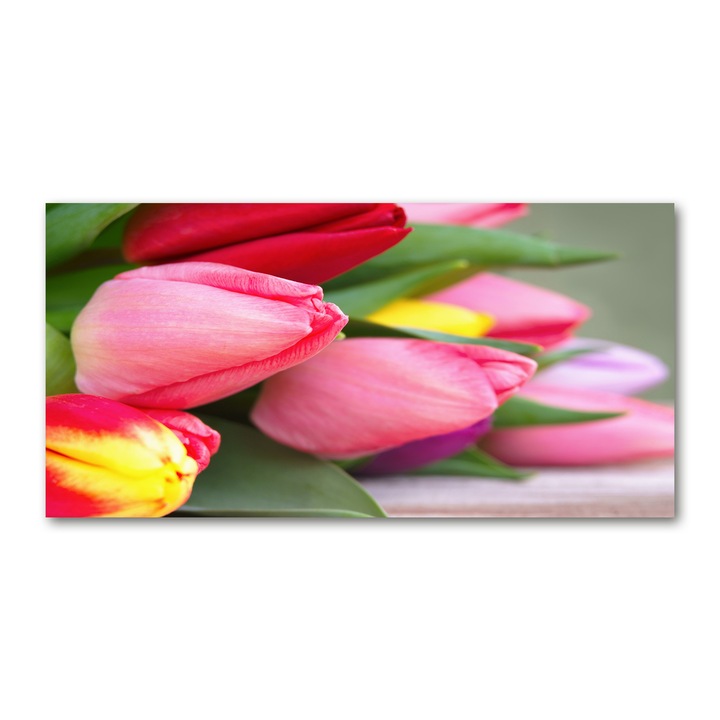 Akrill festmény, 100x50 cm, Fali grafika, fali dísz, "Színes tulipánok", tw2-oah2s-100x50-f-98761222