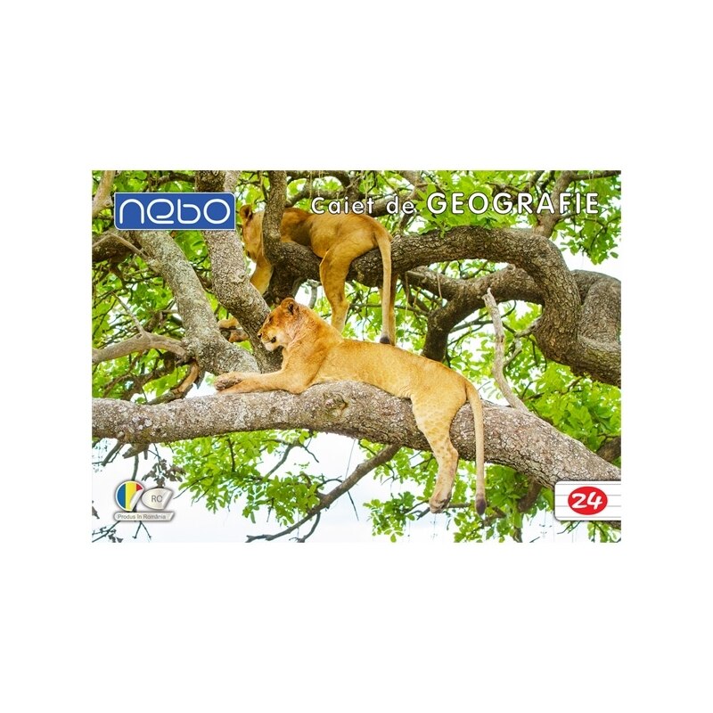 Caiet de geografie pentru scoala, leu, 24 file