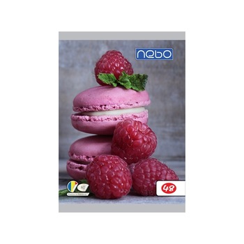 Caiet pentru scoala, BNW, model macarons si zmeura, A5 48 file foi veline Caiet pentru scoala, BNW, model macarons si zmeura, A5 48 file foi veline