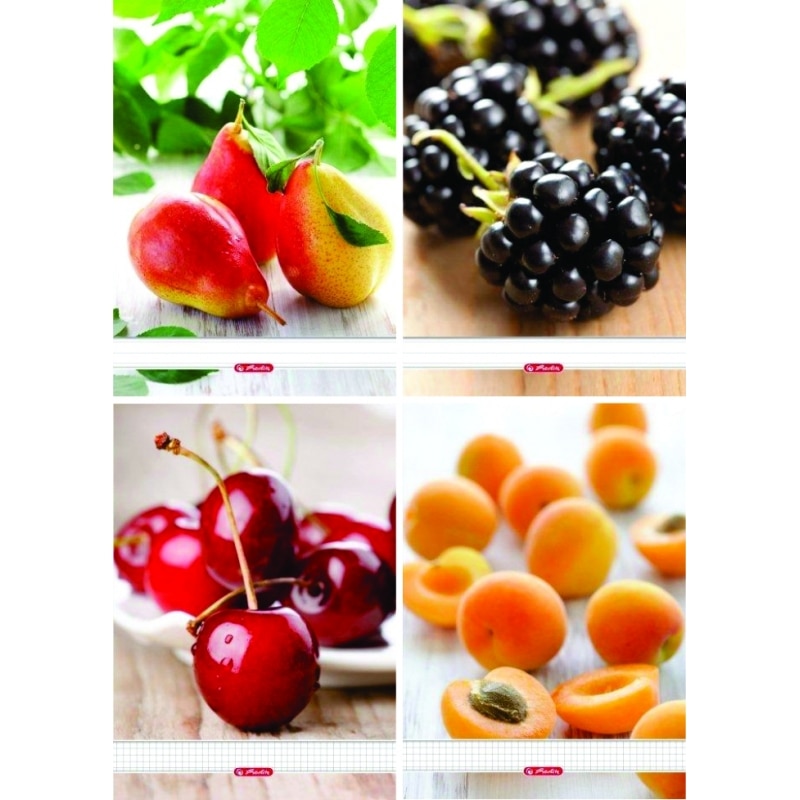 Set 10 buc/set Caiet pentru scoala, BNW, A5 , 70 file, spira