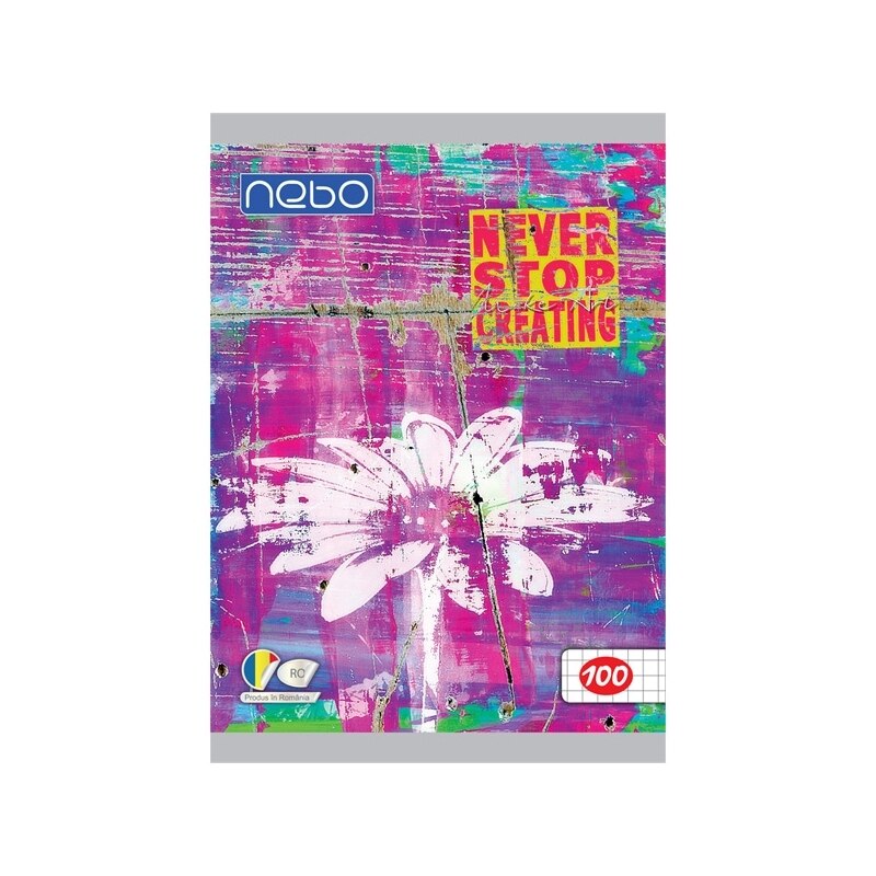 Caiet pentru scoala, BNW, model Flori, A5 100 file