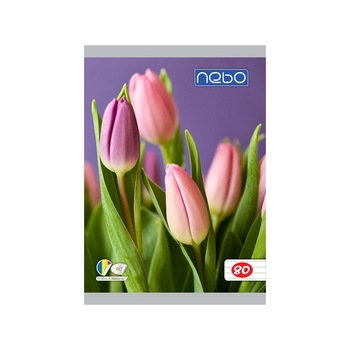 Caiet pentru scoala A5 80 file, lalele Caiet pentru scoala A5 80 file, lalele