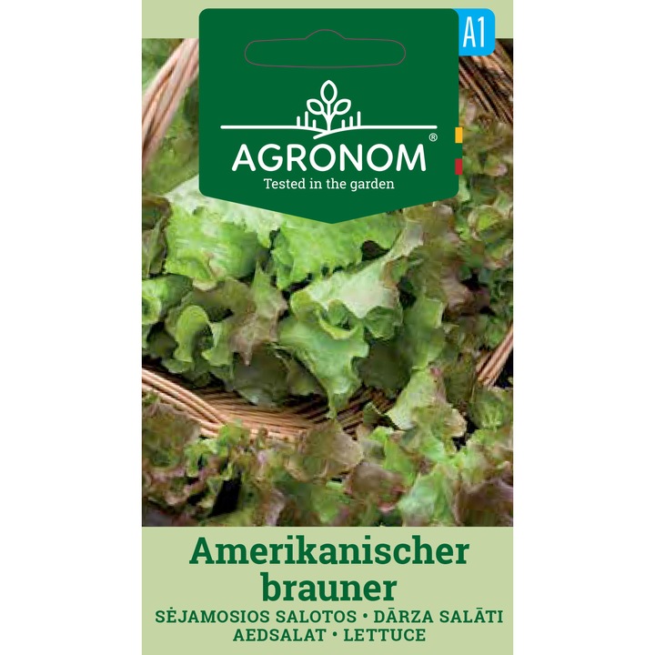 Salata Amerikanischer Brauner, Agronom, Soi Semi Timpuriu, Seminte, plic, 1 gram
