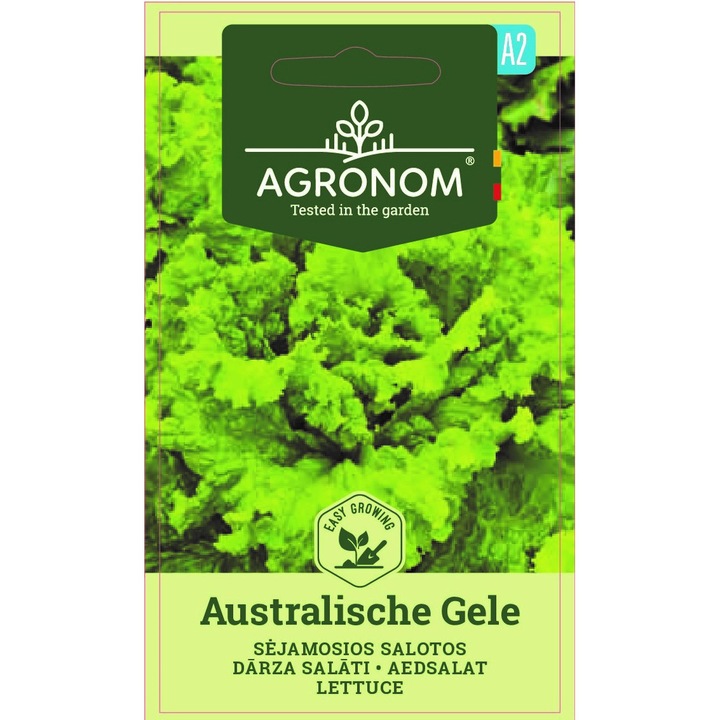 Salata Australische Gele, Agronom, Soi Semi Timpuriu, Seminte, plic, 2 grame