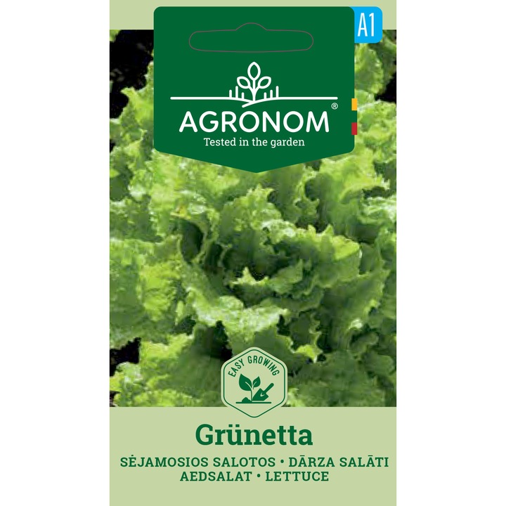 Salata Grunetta, Agronom, Soi Timpuriu, Seminte, plic, 1.5 grame