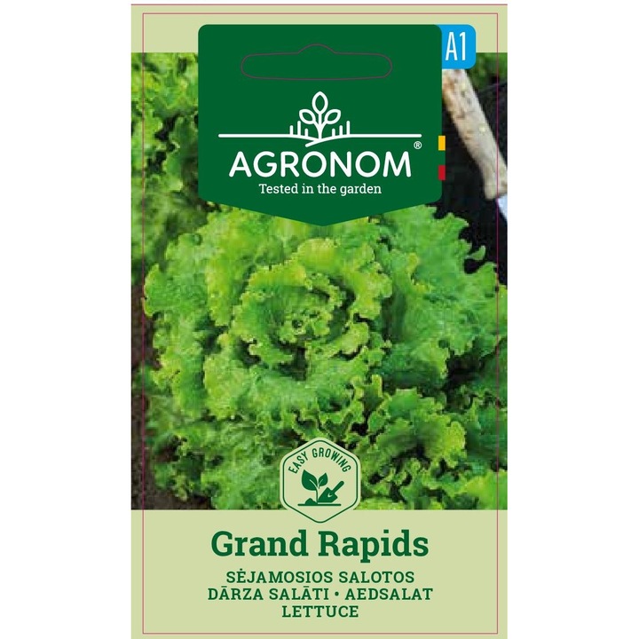 Salata Grand Rapids, Agronom, Soi Timpuriu, Seminte, plic, 2 grame