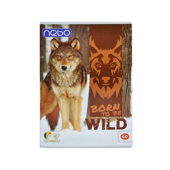 Caiet A4 60 file pentru scoala, lup Caiet A4 60 file pentru scoala, lup