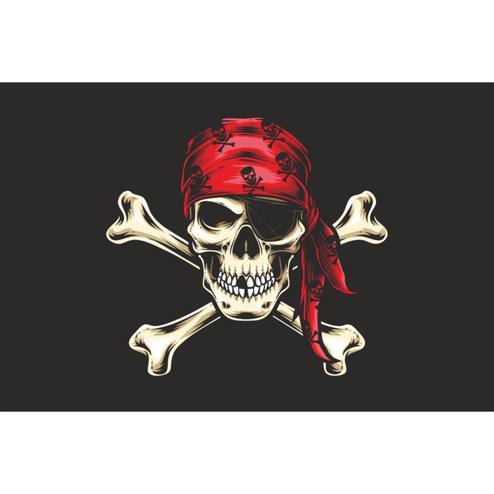Steag Pirati negru, IMPRIMAT, Metropolis 135x90 cm