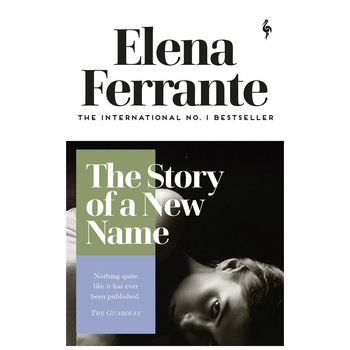 Neapolitan Novels 2: Story of a New Name - Elena Ferrante Neapolitan Novels 2: Story of a New Name - Elena Ferrante